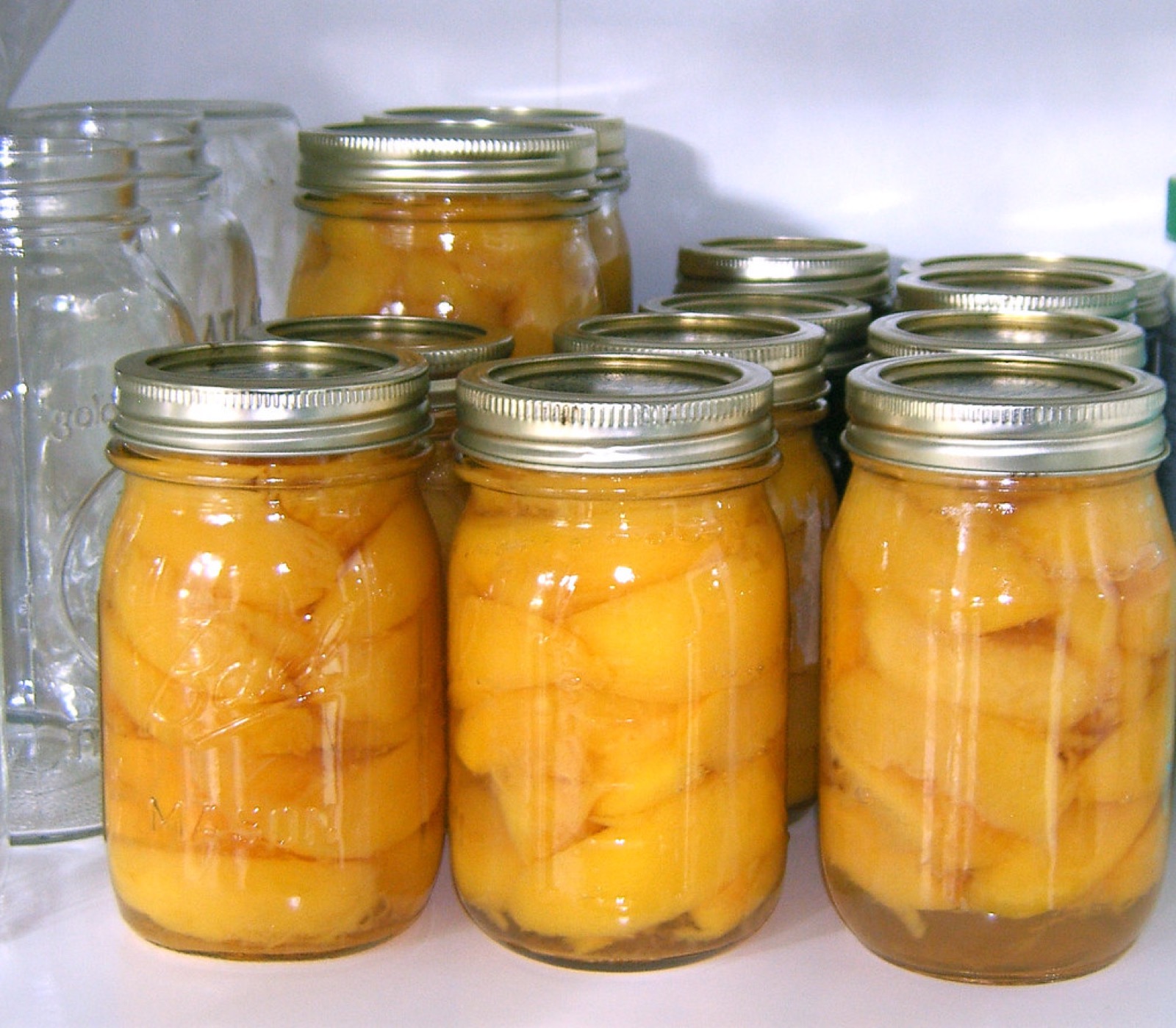 Rows of glowing home-canned peach jars on a pantry shelf