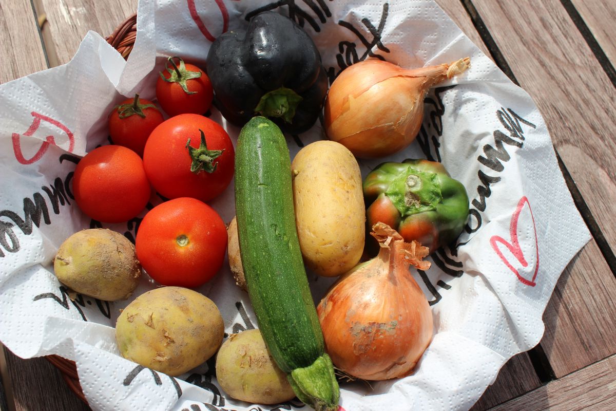 A basket of freshly harvested vegetables